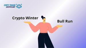 crypto winter vs bull run 2025