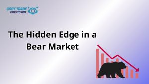 crypto market downturn strategies