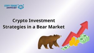 crypto investment strategies in a bear market